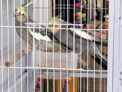 -seeu coffee(江滩店)