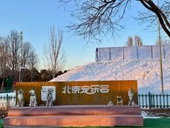 -宠乐会宠物乐园