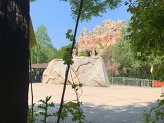 -泰安地下龙宫景区