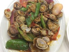 -西涌国际滨海旅游区