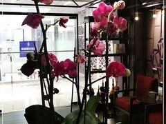 -LANN I 蘭 泰式古法按摩(徐家汇城开YOYO店)