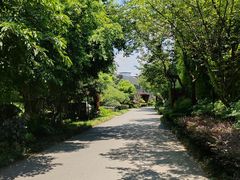-成都许燎源现代设计艺术博物馆
