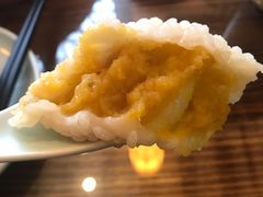 茨毛圆子-双塔老饭店