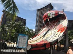 -亚马逊丛林水乐园