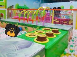 -嘟嘟乐儿童乐园(卜蜂莲花店)