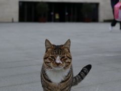 -上海崧泽遗址博物馆