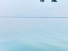 -贡湖湾湿地公园