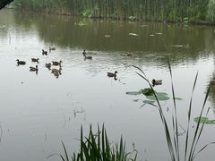 -东园小馆·早茶·淮扬小炒(宋夹城店)