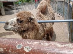-无锡动物园·太湖欢乐园