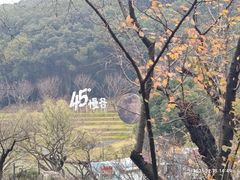 -无锡梅园公园