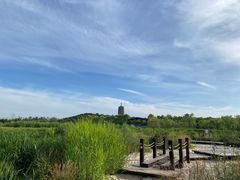 -永定河休闲森林公园