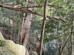 -七仙岭温泉国家森林公园