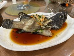 清蒸石斑鱼-厨彩阳光(河东路店)