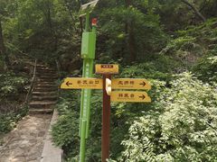 -老象峰
