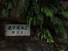 -深圳仙湖植物园
