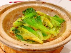 -新雅粤菜馆(南京东路店)