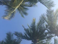 珠江南田温泉-三亚珠江南田温泉度假区