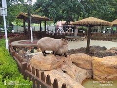 -大连森林动物园