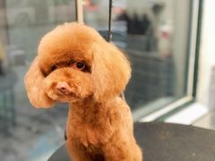 -宠颐生动物医院·心脏科·保险定点(锦阳分院)