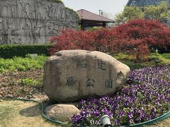 -嘉定紫藤园