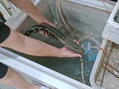 -金三可市井水煮鱼(金碧园店)