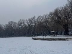 -二一九公园