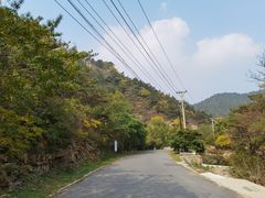 -金龙寺国家森林公园