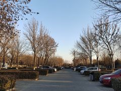 -绿堤公园