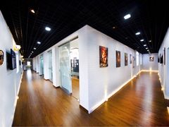 -上海盛视天橙传媒股份有限公司