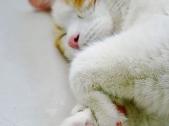 -小时光咖啡馆(北锣鼓巷店)