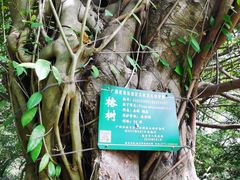 -南宁南湖公园