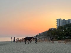 -精酿农场Brew Farm·沙漠绿洲餐厅