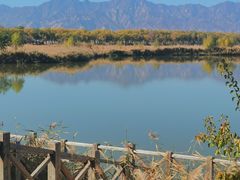 -野鸭湖国家湿地公园