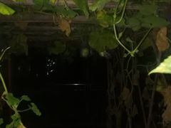 -润记农家菜