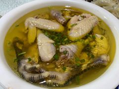 -呼吸森林·生态农庄农家乐私房菜