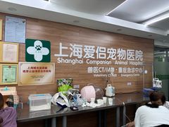 -爱侣宠医·鹦鹉专科·小型哺乳类·异宠专科(灵石路店)