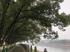 -蒋氏故居