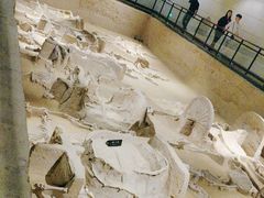 -洛阳周王城天子驾六博物馆