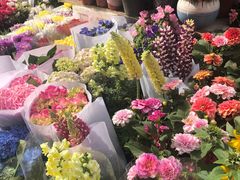 -平吉花卉市场