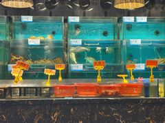 -潮粤香海鲜酒楼(沙湖店)
