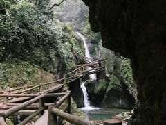 -青城山