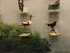 -下渚湖国家湿地公园科普馆