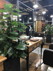 -UPTOP鼎上造型