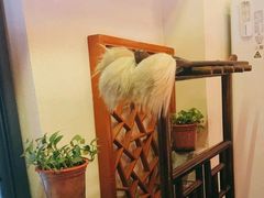 -探花·意境江南菜·唐伯虎文化体验店·松鼠桂鱼(观前店)