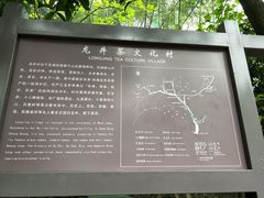 -龙井村