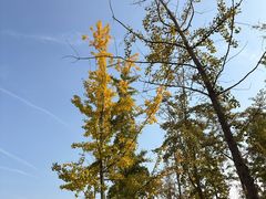 -汉长安城未央宫国家考古遗址公园