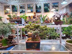 -双季花艺园艺市场(浦东店)