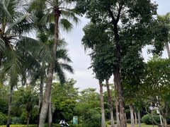 -深圳湾公园(南山区)