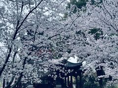 -堤角公园