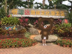 -呀诺达热带雨林